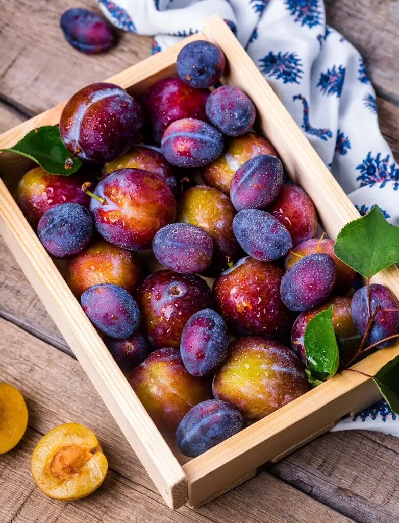 importance of nutritious foods: Eat better, feel better, live better